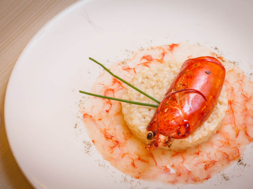 Piatto ristorante